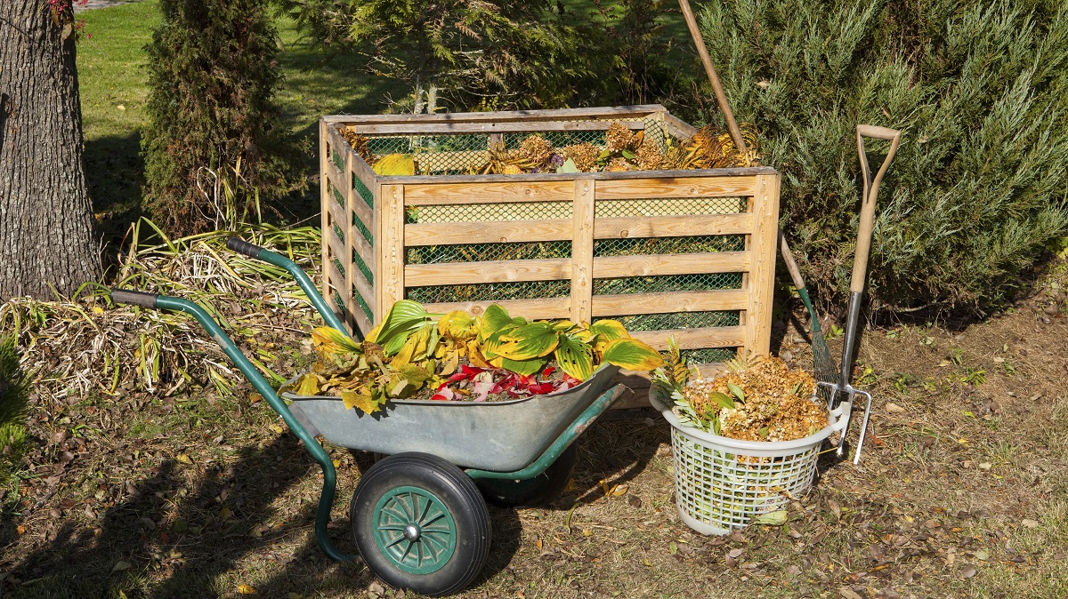 backyard compost bin
