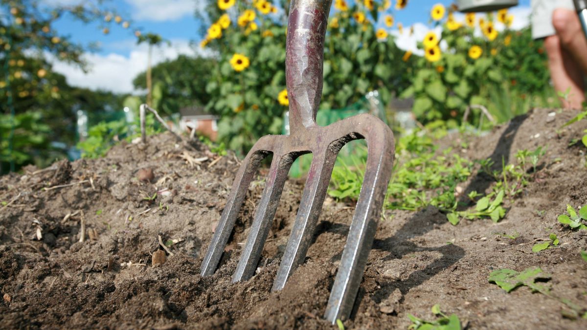 pitchfork in garden earth
