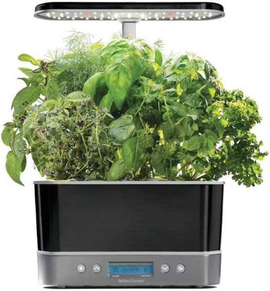 aquaponics growing system