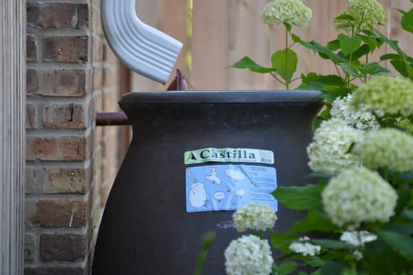 Rain barrel