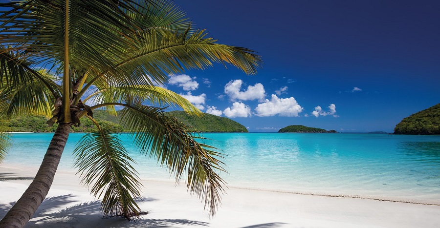 tropical beach