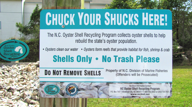 The North Carolina Oyster Shell Recycling Program collects oyster shells to help rebuild the state's oyster population.