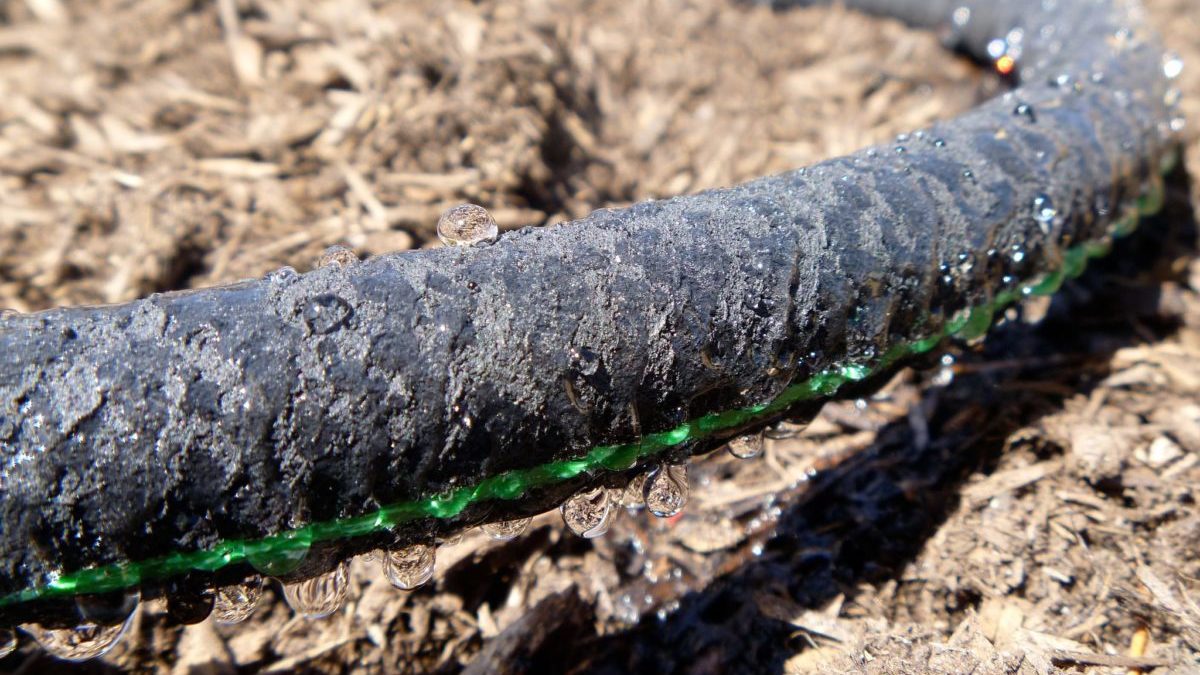 Soaker hose: It works.